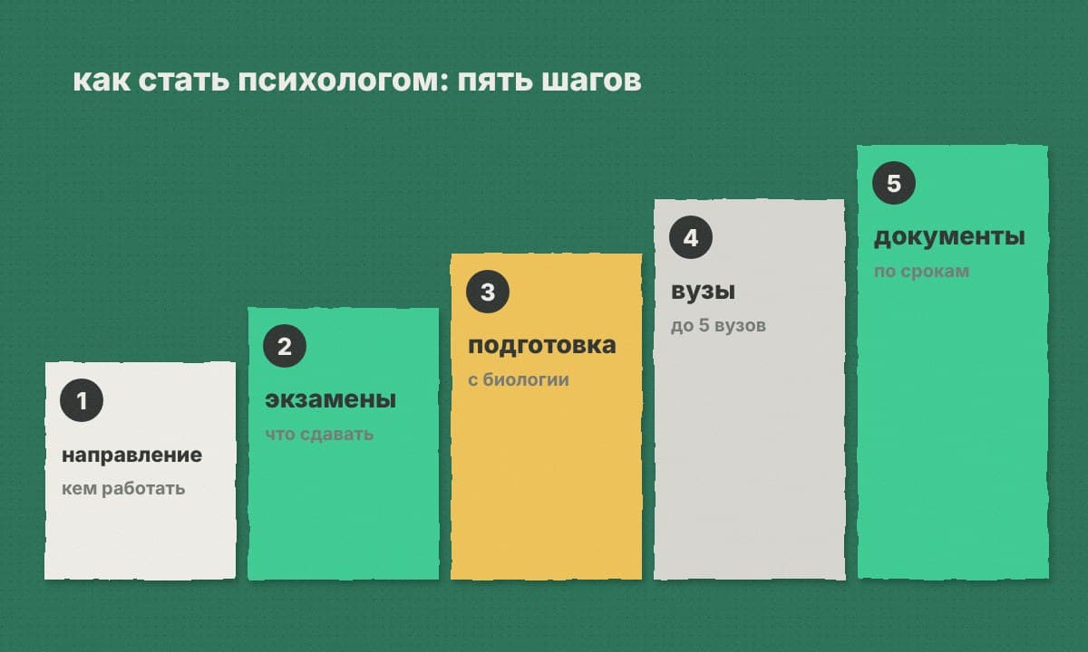 Пять шагов маршрута: направление, экзамены, подготовка, вузы, документы